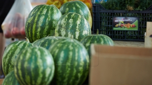 В Кишиневе выросло число пищевых отравлений