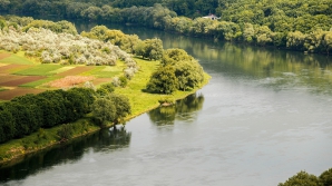 Эксперты требуют запретить промышленный лов в Днестре и Пруте