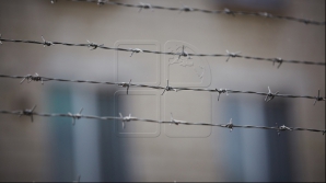 Обвиняемых в убийстве велосипедиста поместили под стражу на 30 суток