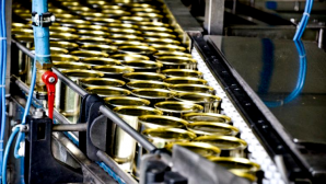 Несколько сотен сотрудников консервных заводов вышли на акцию протеста