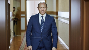 Премьер-министр Стрелец подал президенту прошение об отставке