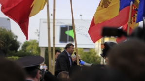 Реакция населения на протесты платформы DA