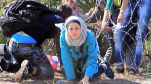 Тысяча беженцев штурмовала заграждения на границе Словении и Австрии