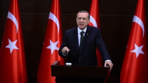 Эрдоган: Турция не будет извиняться за сбитый Су-24