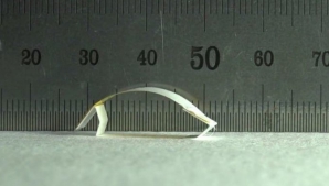 Ученые создали микроробота, работающего от изменения уровня влажности (ВИДЕО)