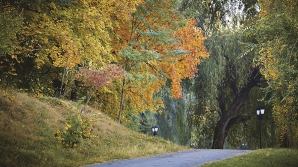 Метеорологи: температуры ноября превышают норму на 10 градусов