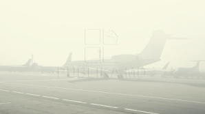 Air India отстранила бортпроводников от полетов из-за лишнего веса