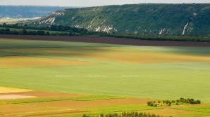 Названы самые дорогие земельные участки Молдовы