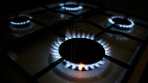 Возможно снижение тарифа на газ для конечных потребителей