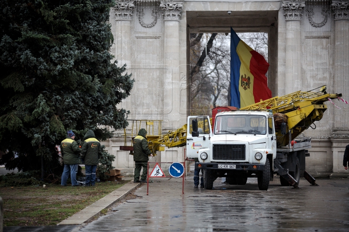 В столице нарядили главную ёлку страны (ФОТОРЕПОРТАЖ)