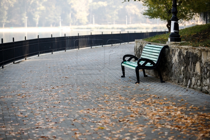 Яркая палитра молдавской осени (ФОТО)