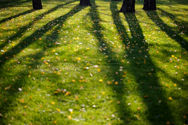 Яркая палитра молдавской осени (ФОТО)