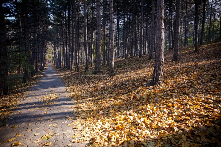 Яркая палитра молдавской осени (ФОТО)