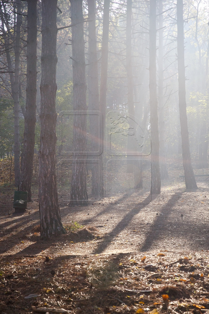 Яркая палитра молдавской осени (ФОТО)