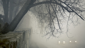 В Молдове 16 декабря местами ожидается слабый туман