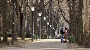 Аномально теплый декабрь: прогнозы экспертов