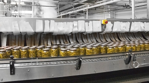 В селе Валя Маре откроется завод по производству сушеной плодоовощной продукции