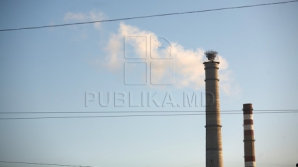 Сотрудники "Термоэлектрики" пытались скрыть разлив мазута