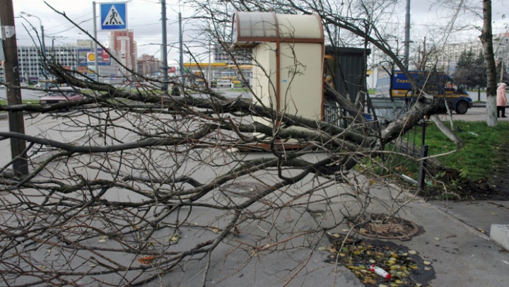 В Санкт-Петербурге ветром сдуло рынок