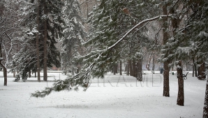 В Молдове 20 января ясно, морозно, без осадков
