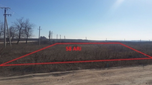 Киртоакэ отнесся с раздражением к идее продажи на аукционе муниципальных земель