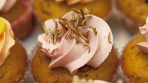 На складе столичной фирмы нашли просроченные продукты и пирожные