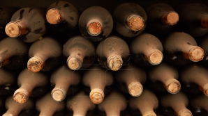 В винных погребах комплекса Милештий Мичь состоялась велоэкскурсия