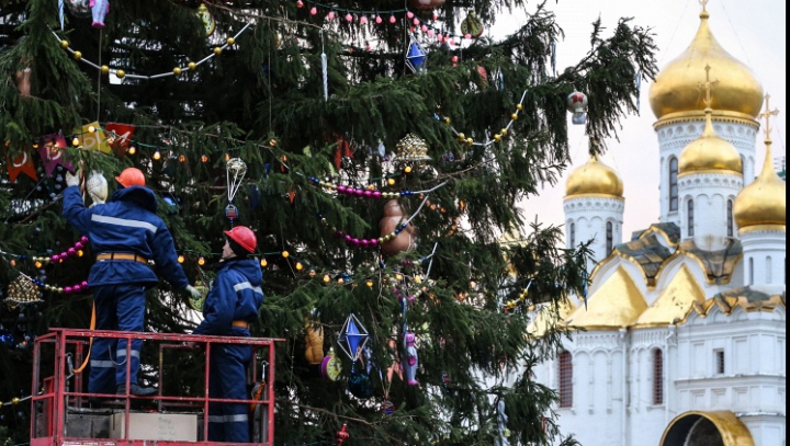 Главную новогоднюю ель России отправят на производство лыж и клюшек  