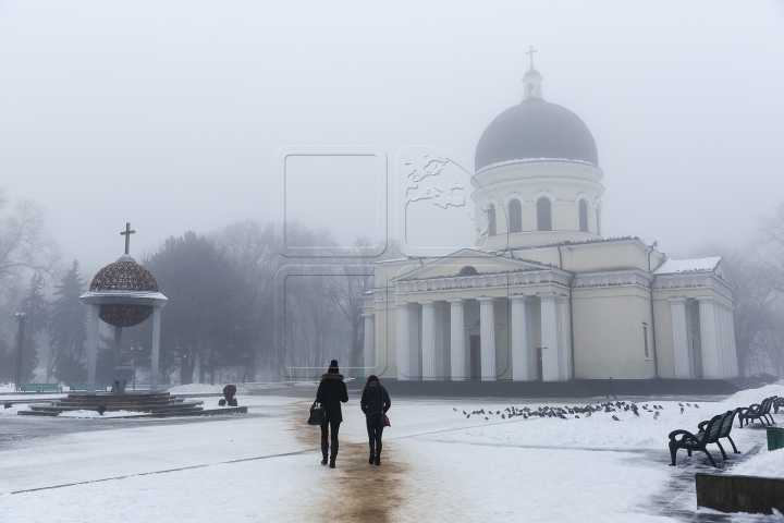 Метеорологи продлили желтый код в связи с туманом (ФОТО)