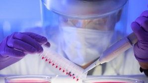 Индийская компания заявила о создании вакцины против вируса Зика