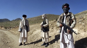 Афганистан просит США оказать больше помощи в борьбе с талибами