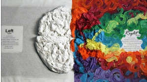 Развеян миф о делении мозга на «логическое» и «эмоциональное» полушария