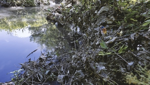 Найдены виновные в сбросе производственных отходов в реку Бык в селе Флорень