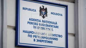 На пост директора НАРЭ претендуют два кандидата