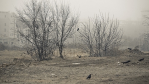 ​Первый день весны принесет в Молдову дожди и туманы