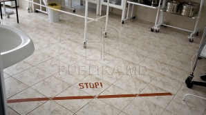 В Молдове зарегистрирован первый случай смерти из-за осложнений при свином гриппе