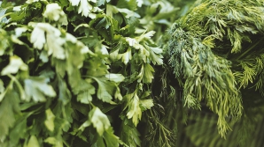 На рынках появились первая свежая зелень, редис и крапива