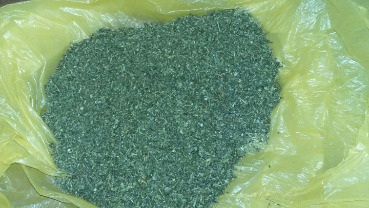 Полиция пресекла деятельность банды наркоторговцев (ФОТО)