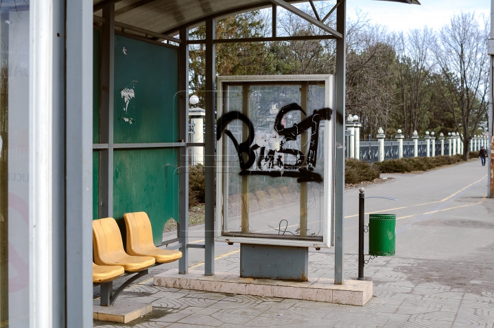 Вандалы объявили войну столичным остановкам общественного транспорта (ФОТОРЕПОРТАЖ)