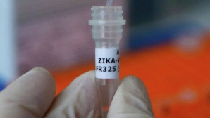 На Кубе зафиксирован третий случай лихорадки Зика  