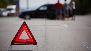 ДТП в Ниспоренском районе: автомобиль врезался в дерево и загорелся