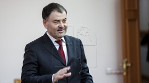 Анатол Шалару сохранил пост министра обороны 