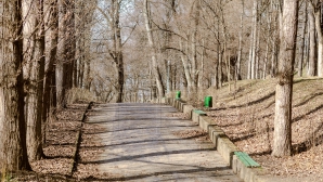 На севере Молдовы 3 марта ожидается до +10 