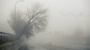 24 марта в Молдове будет до +10, ливни и ветер