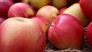 2500 пострадавших от эмбарго фермеров получат компенсации до конца марта