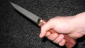 В Каларашском районе пьяный мужчина убил сожительницу и ранил ее сына