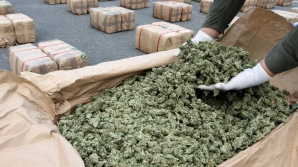 Банда наркоторговцев раскрыта в Кагульском районе