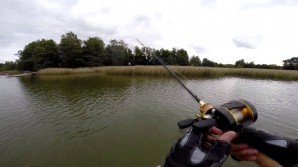 В Дубоссарах семеро мужчин незаконно ловили рыбу