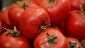 Импортные помидоры выдают за молдавские и продают втридорога