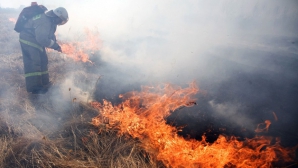 Пожар в поле возле села Панашешты уничтожил сухую растительность на пастбище